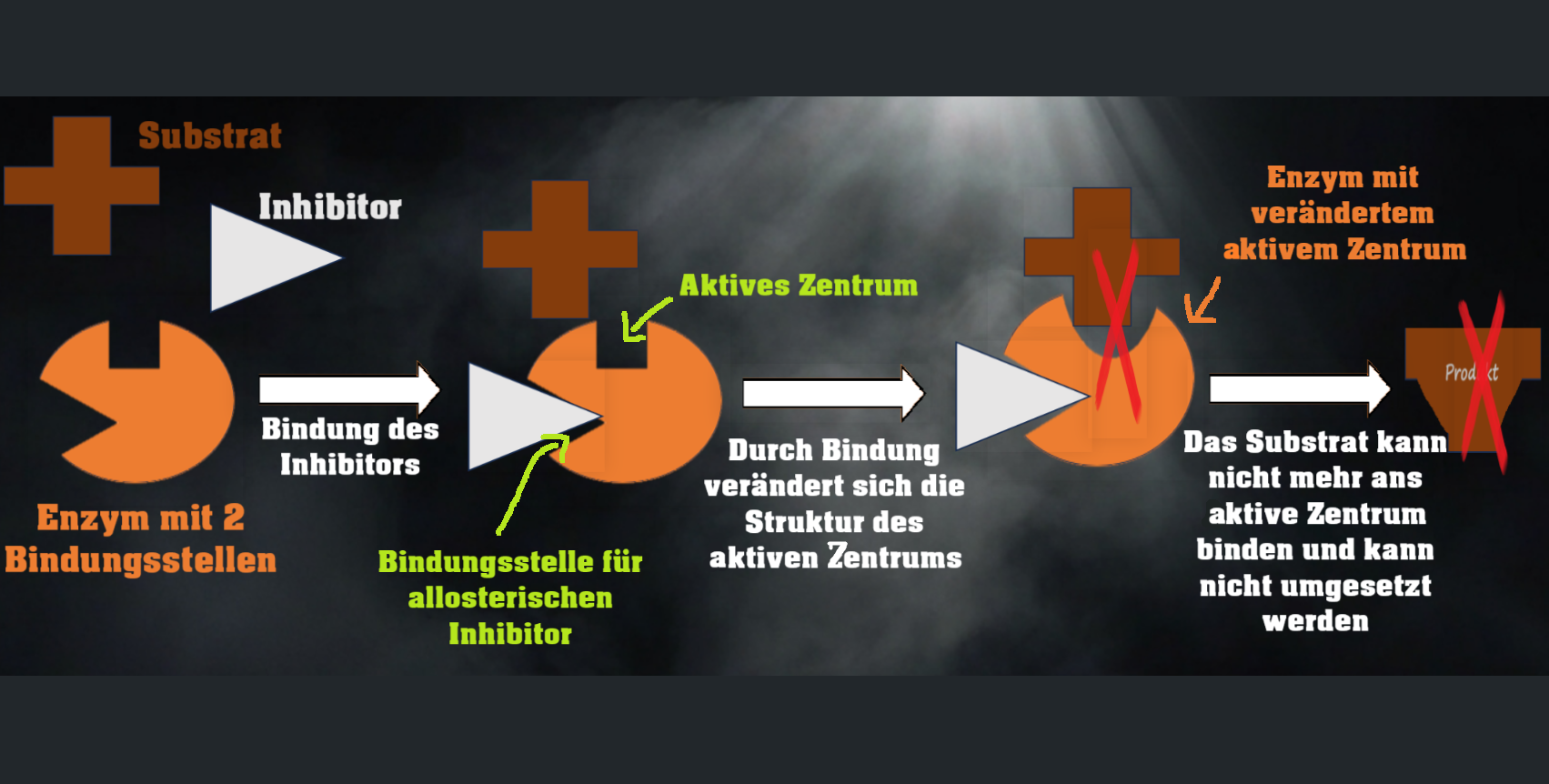 Musterlösung
